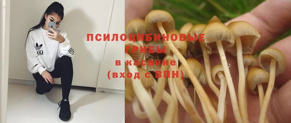 прущая мука Армянск