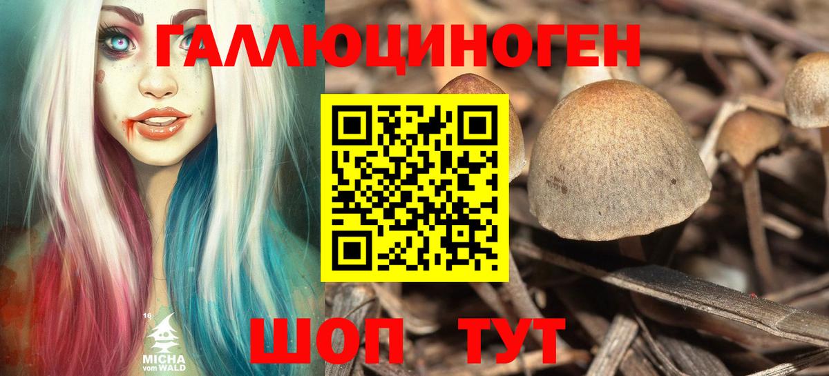Галлюциногенные грибы Cubensis  Псилоцибиновые грибы Psilocybe  Переславль-Залесский  Вход с VPN 